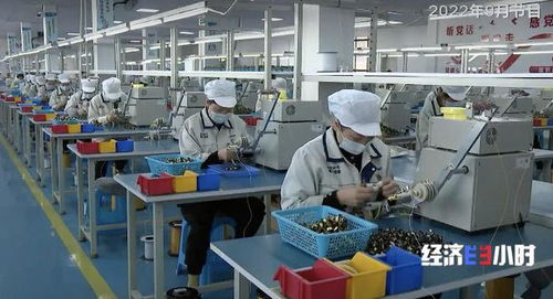 盘点中国经济一年间的 奋进密码 助企纾困 财政直达 稳定就业 扩大投资一个都不能少
